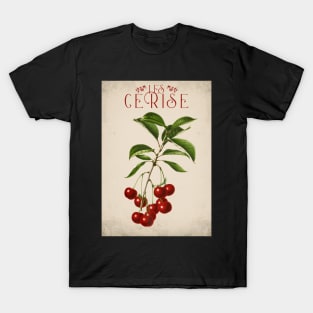 Old fruit poster - Cherries - Vintage - retro T-Shirt